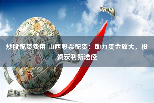 《名鼎配资风云录：从合规迷局到散户生存战》